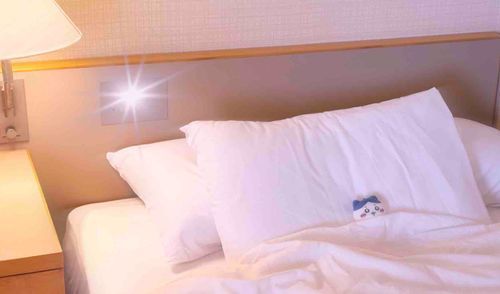 ｽﾔｧ😴