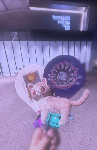 らいぶ たのしかた❗️