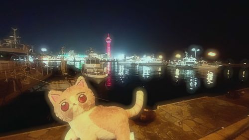 夜の海ってイイね〜🌙