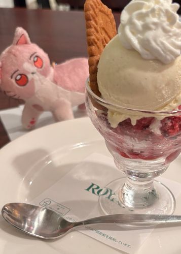 ライブの〆に🍨ってサイコーなのだ