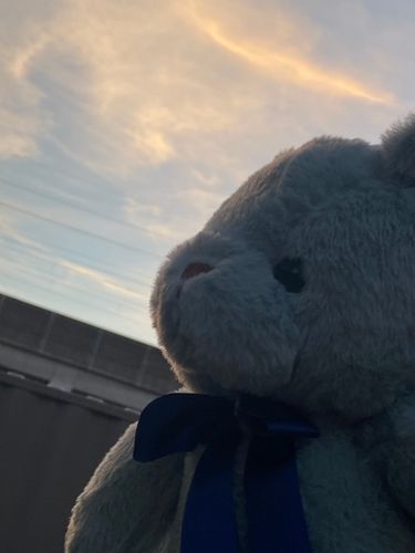 きょうのあさのそら きれいきれい
