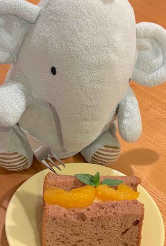 もうよるの10じだけど
たべちゃうもん
おみやげの
ふかふかシフォンケーキ🌼