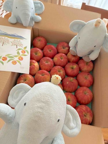 おりんご🍎おりんご
やってきた！
おいしいおりんご
まんまるのままたべました🍎