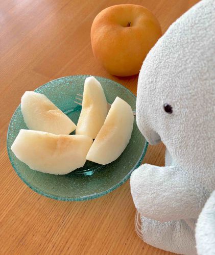 🍎✨✨りんごりんごり〜んご✨
だとおもったら
なしだったよ…

でもなしもと〜っても
おいしかったよ✨
