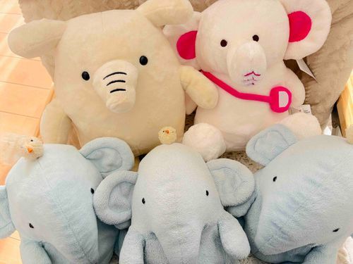 あたらしいおともだちの
だいぞうくん✨
よりちゃんと
ちょうなん　じなん　さんなんで
きねんさつえい📷✨ぱちり