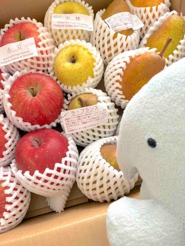 🍎🍐🍎🍐🍎
おいしそうがとどいたよ！
しあわせだなぁ