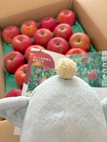 ちょうなんは🍎りんごがだいすきです
こちらの🍎りんごのだいふぁんです
たくさんやってきたりんご🍎
しあわせだなぁ