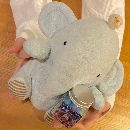 ちょうなん、かばんに入らなくて
お留守番だったけど
お留守番をがんばった！
おみやげにお星様をもらったよ🌟
わーい