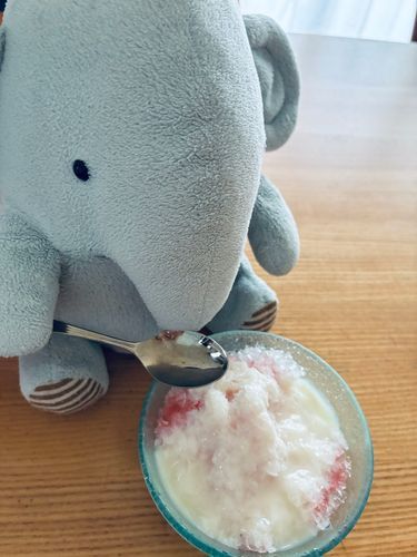 かきごおりき🍧やってきた！
まいにちたべるんだー🍓🥛
💕💕
