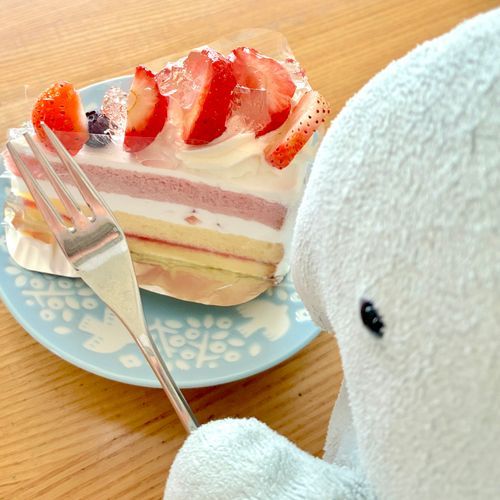🍓なついちごが
おにわにうれてたよ！
いちごけーきに
のっけて
すこしごうかにしてたべたの🍰✨
