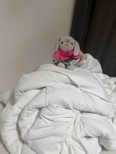 雪山の山頂からの中継です