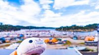 おにぎり🍙🦭
