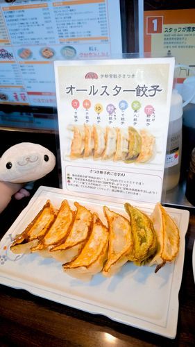 先日、宇都宮の来らっせで餃子を食べました
いろんな味があるんだって🥟
