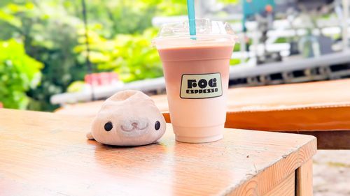 自然とカフェラテとぼく。
あざらしの光合成。