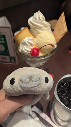 喫茶店のプリンパフェ🍮
水出しアイスコーヒーと相性抜群だよ！