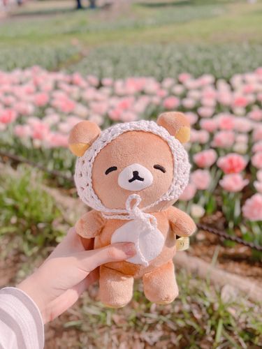 おはなみにいったときのしゃしんです🌷

