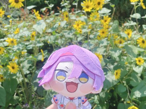 これはねー！きれいなひまわり！
