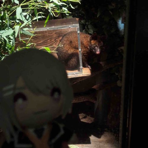 ポスト