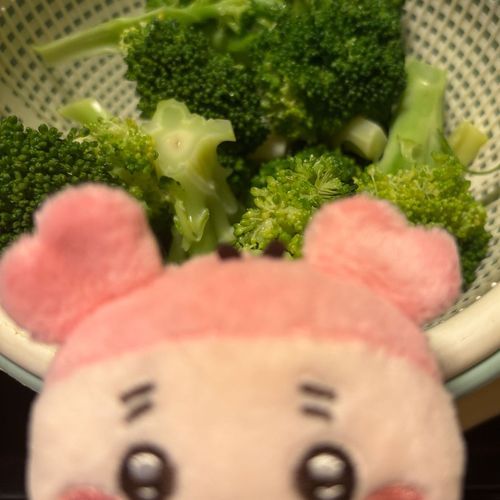 🥦🦀ｳﾏｳﾏ。