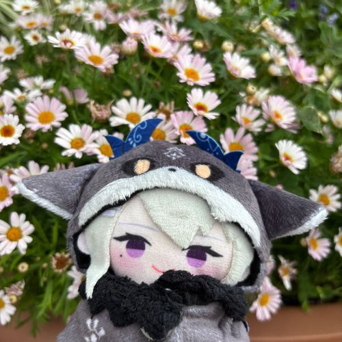 ｵﾊﾅッ！🌼