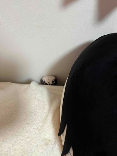 ころがってしまったよ ベットのしたにおちなくてよかったよっ…