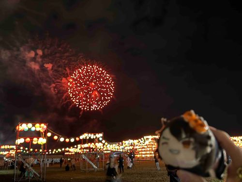 花火🎇だね