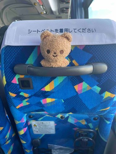 りーは、シートベルトちゃんとしたよ