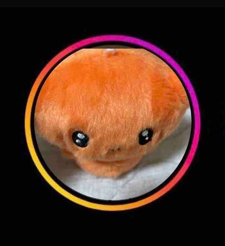 これはいんすたぐらむというものでち