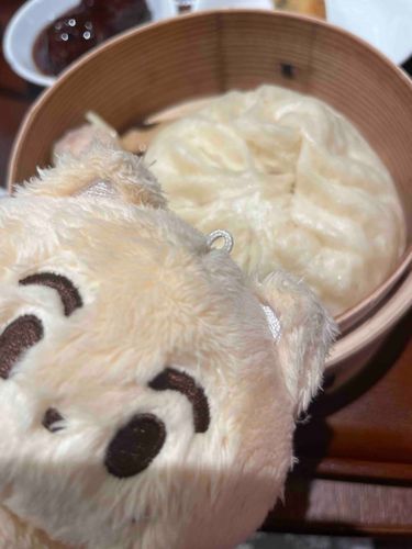 ʕ o̴̶̷̤᷄Ⱉo̴̶̷̤᷅ ⠕ʔいろおんなじだ！きゃるるきゃるる
