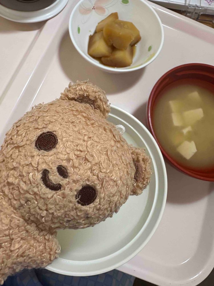 びょういんしょく？もまた、おもいでだねぇー
りーは入院、つまらないからもうしない！