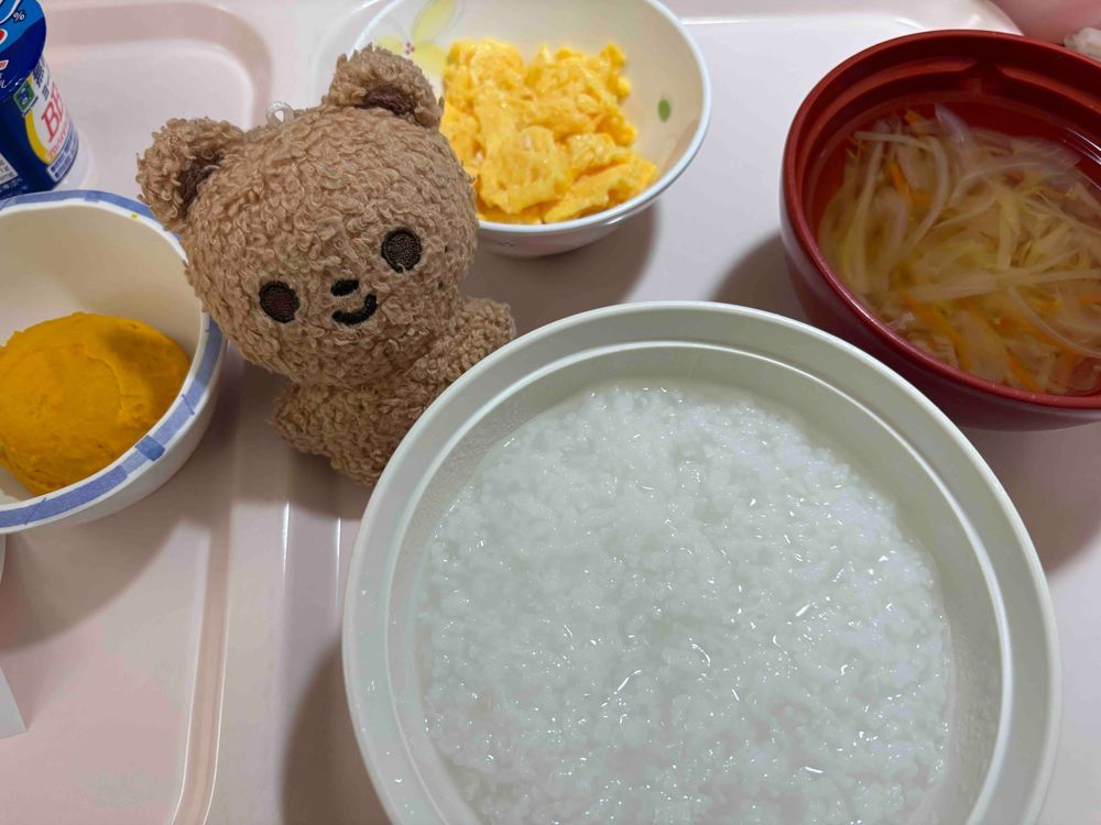 びょういんしょく？もまた、おもいでだねぇー
りーは入院、つまらないからもうしない！