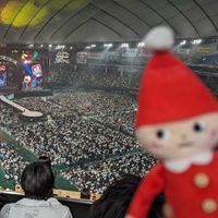 ニッセさんと私