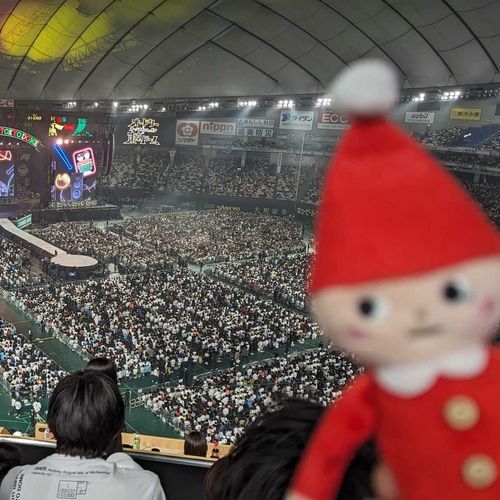 ニッセさん中心でぬい活したいと思ってます