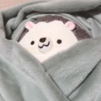 ろぇきゅん