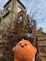 さーちゃん
