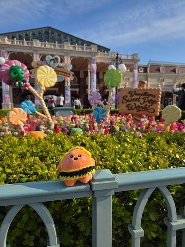 今年の春にディズニーに行ったときに撮ったやつ！
周りに人がいなかったから急いで撮った！
次はいつ行けるのだろうか・・・