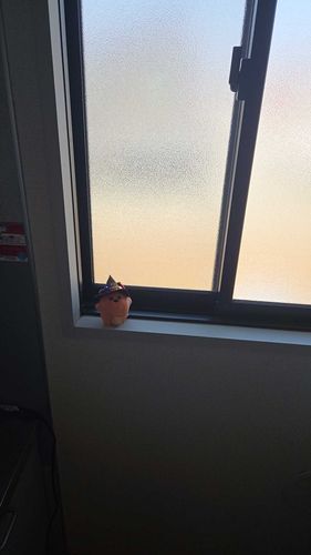 魔法の世界へようこそぉ！！
・・・ふむ。
今度箒でも作ろうかな。