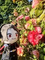 きよくん