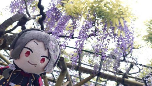 #亀戸天神社