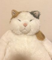 にゃんた