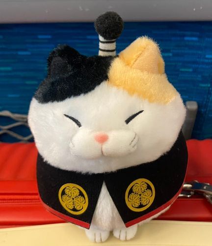 ぼくはにゃんたけだ。愛知県の岡崎しゅっしんで、徳川家康のマントをきているよ。もともとは「ひげまんじゅう　家康みーさま」というなまえだったけど、かいぬしに「にゃんたけ」となづけられたよ。みんなよろしくね。