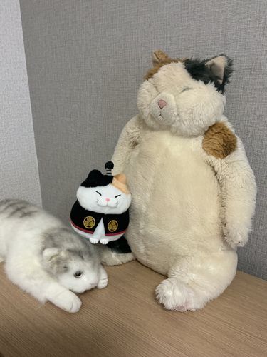 はじめまして！ぼくはにゃんたけといいます。
にゃんたのあにき(みぎ)と、こたつのあねき(ひだり)と、いっしょにくらしているよ。
よろしくね！
きょうもいいいちにちにしよう。