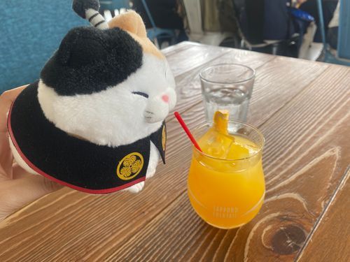 ぼくも　のみたいにゃん！