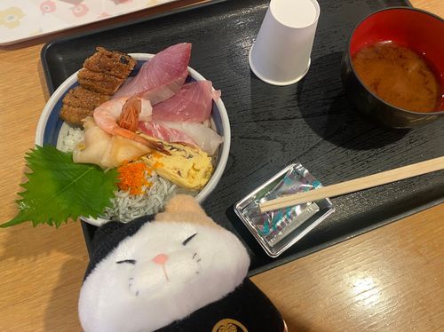 かいせんどん🐟
かいぬしが　たべてたよ！