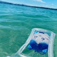 はちわれちゃん