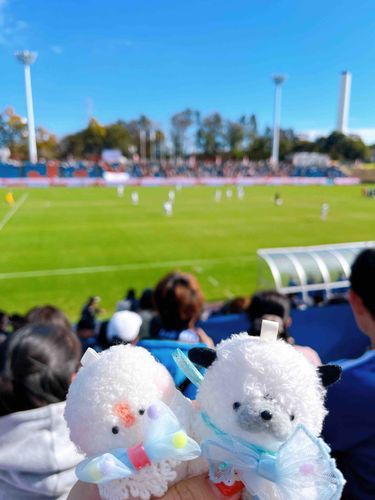 みんなひさしぶり！
このまえ、デフリンピックの じょしサッカーのおうえんをしに、ふくしまへ いってきたよ！
