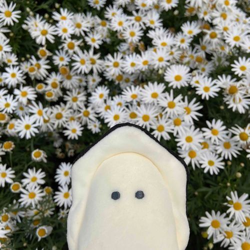 漂亮！花！