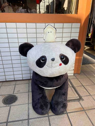 貓熊！熊貓！どっち？！