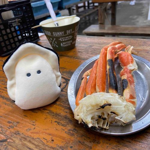 哈！？