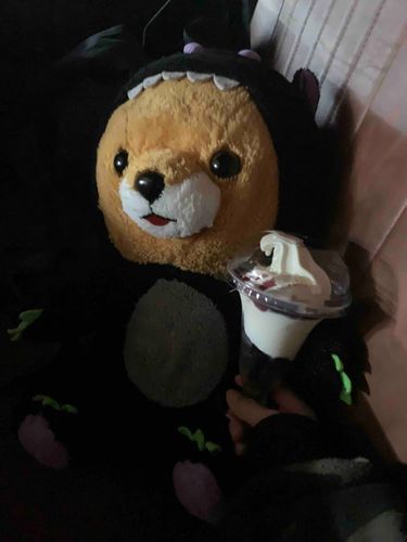 帰る前にミニストよってアイス買ってもらった🍨